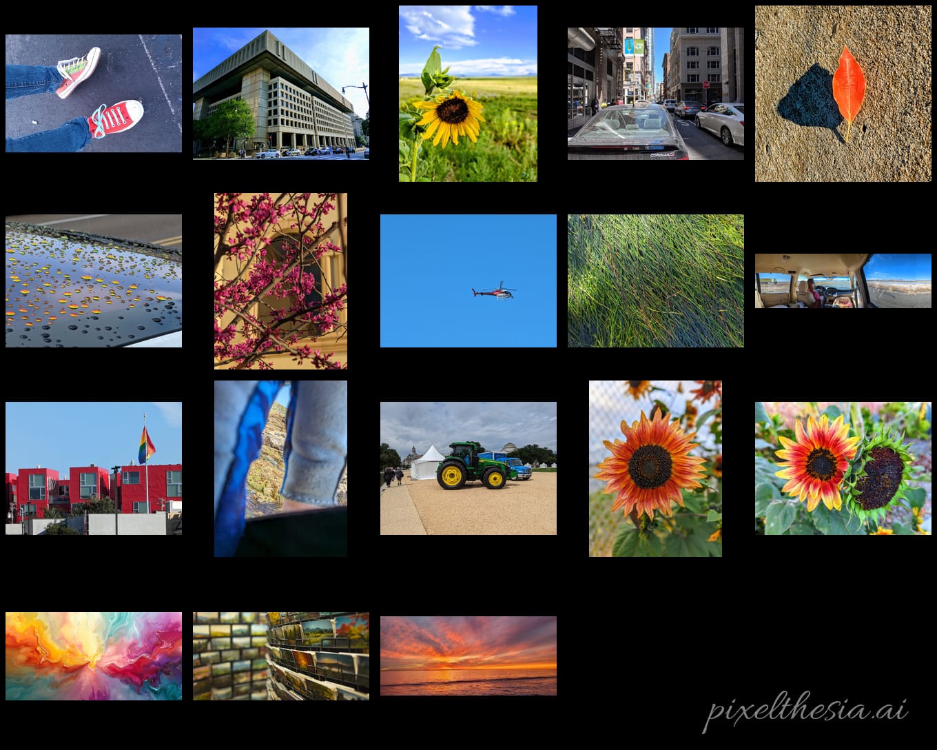 Thumbnails of 18 photographic images in a 5x4 grid on black. Images include shoes, buildings, sunflowers, and more. They're bright and sort of abstract.